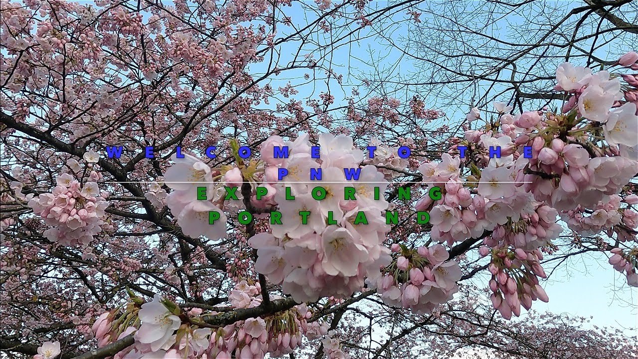Welcome to the Pacific Northwest! Cherry Blossom Waterfront- Plus:WHY you should NOT visit Portland