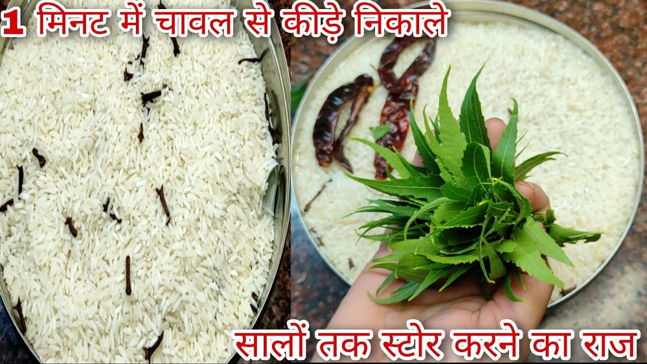 चावल को कीड़ों से बचाने एवं उन्हें सालों सालों तक स्टोर करने के चार अनोखे तरीके How kill Rice Bugs