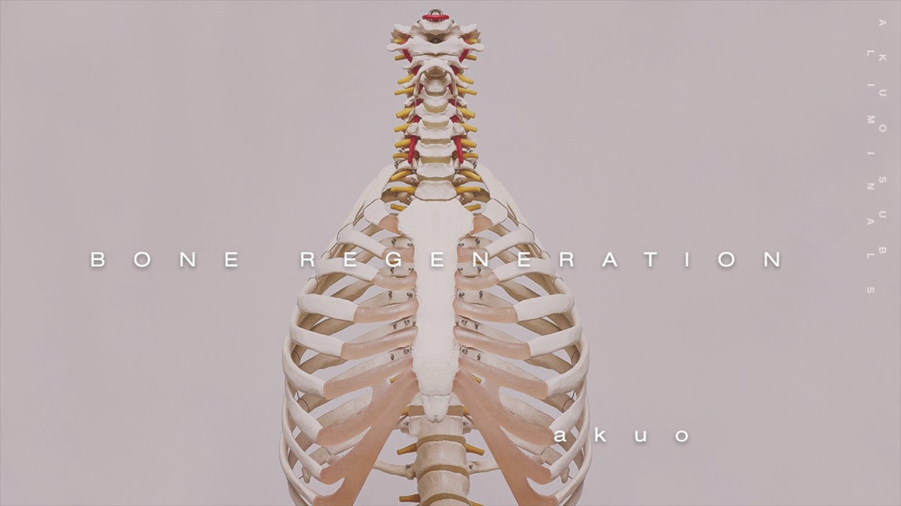 REGENERATE BONE ―∎ affirmations - Superhuman Skeletal System