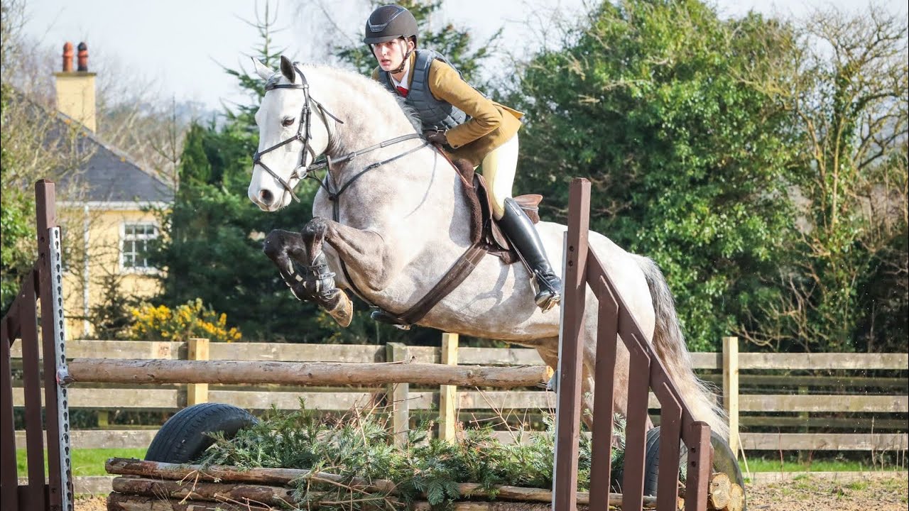 9yo Connemara mare May for sale