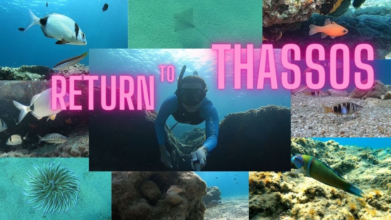 Freediving | Return to Thassos