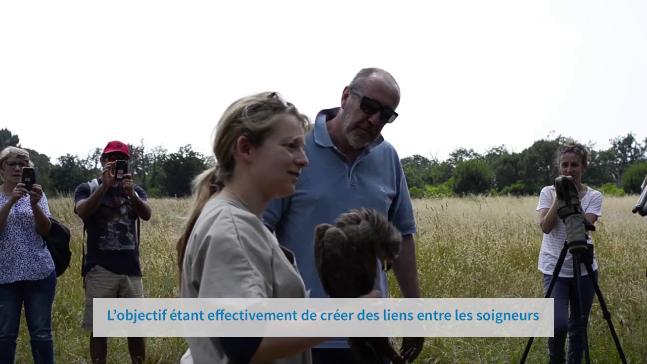 Le Centre de soins LPO Aquitaine : au secours de la faune sauvage
