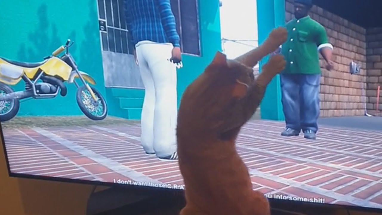 GTA Definitive Edition Launch Bugs, Glitches and Funny Moments Compilation