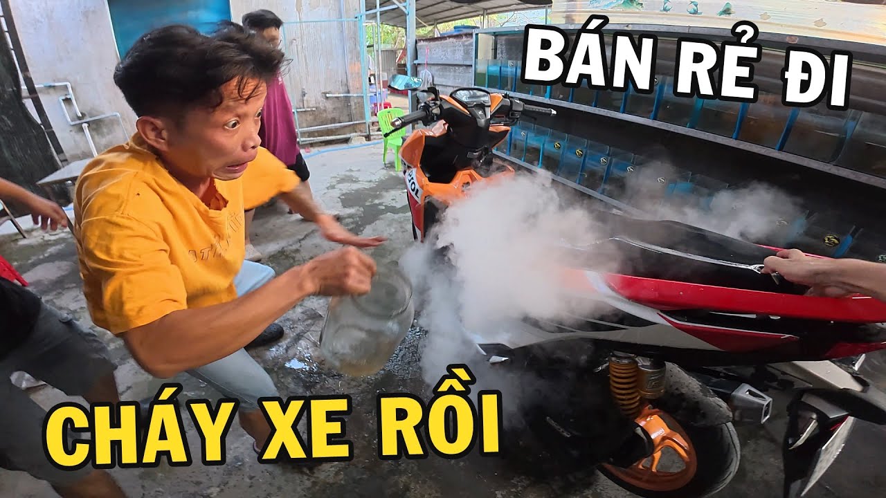 Trò đùa bỏ Đá Khói vào xe Anh Nhí Betta và cái kết cười rụn rún