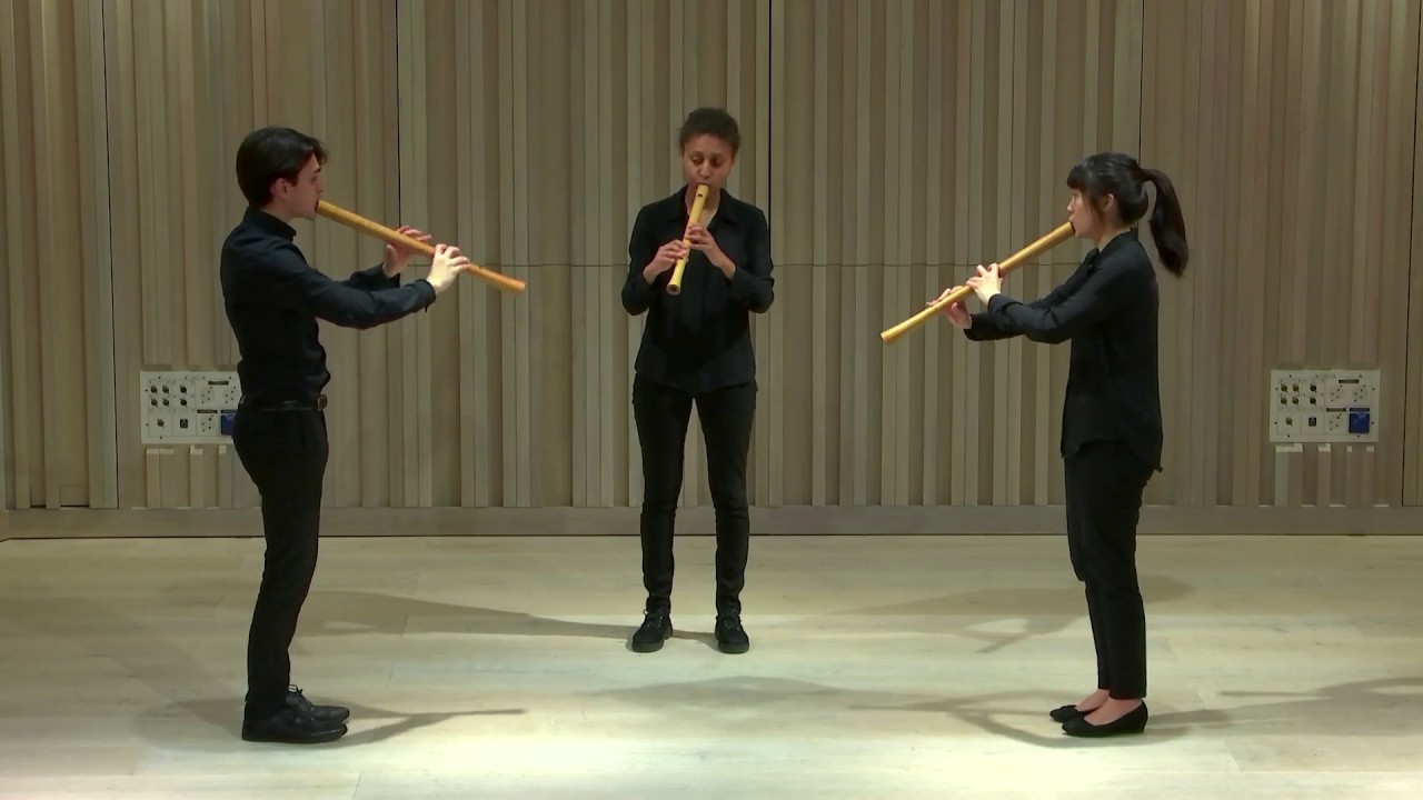 Ciconia - Una Panthera