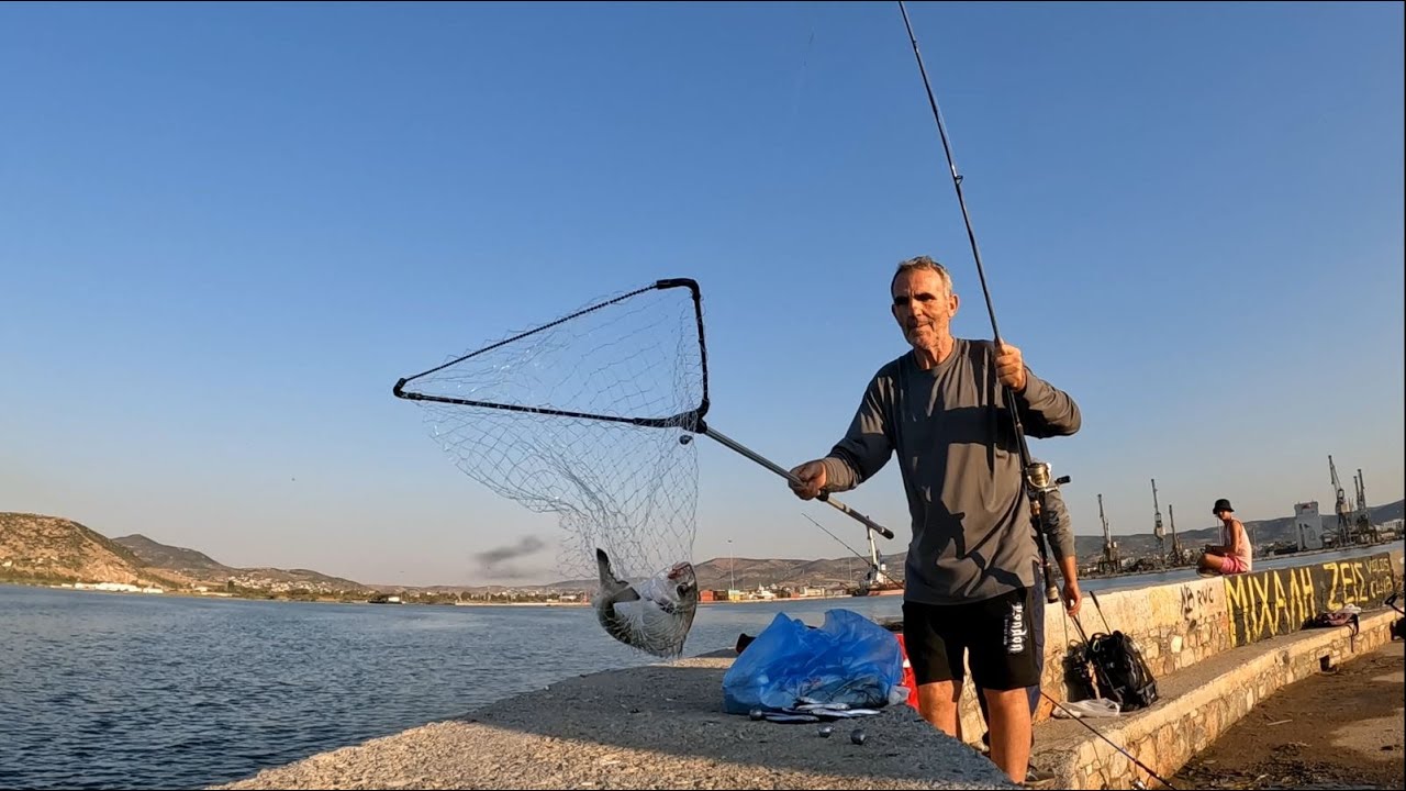 Τσιπουρα αρματωσια  με 4 αγκιστρια και ολοκληρο γαυρο και για αλλα ειδη ψαριων