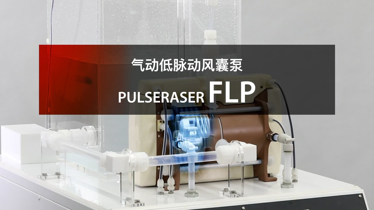 IWAKI low pulsation bellows pumps FLP (简体中文)