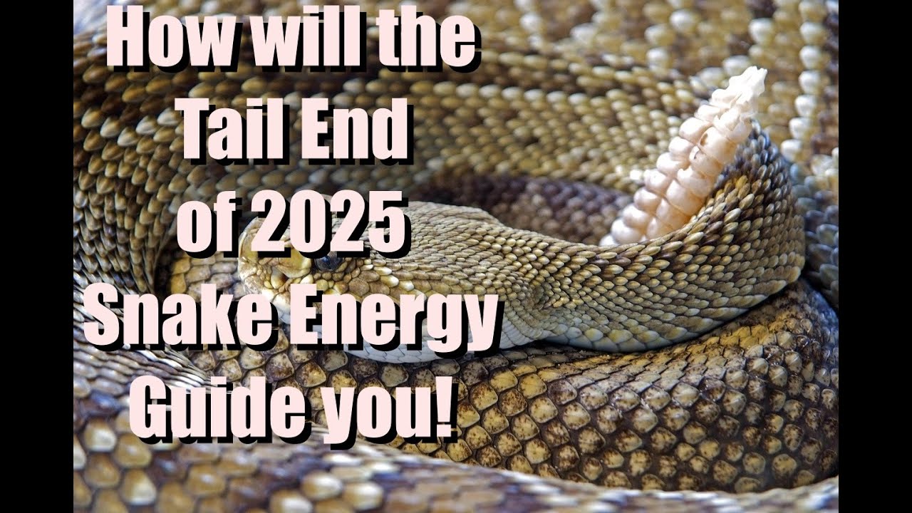 How to get through the Tail End of the Year of the Snake