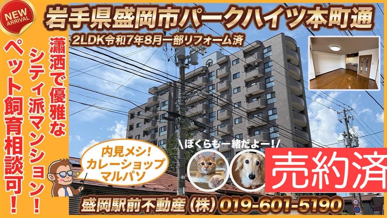 【瀟洒で優雅なシティ派マンョン】パークハイツ本町通804ペット相談可!