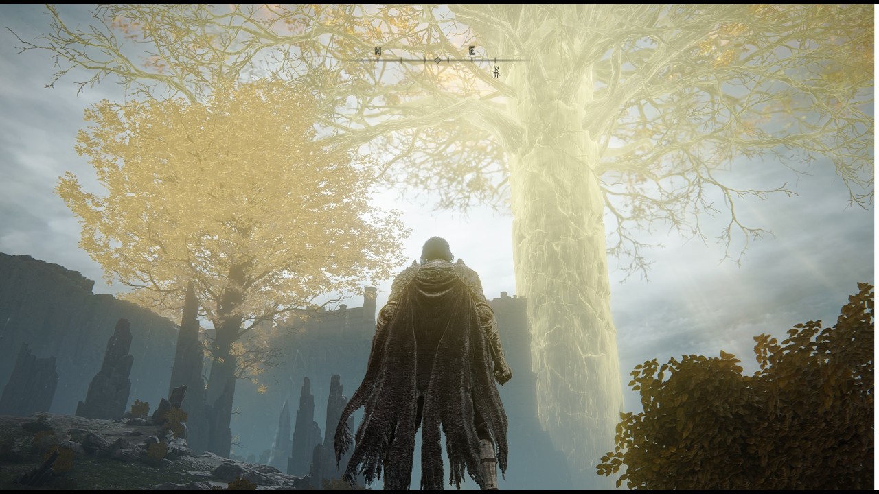 Run en Elden Ring con pj de Fuerza
