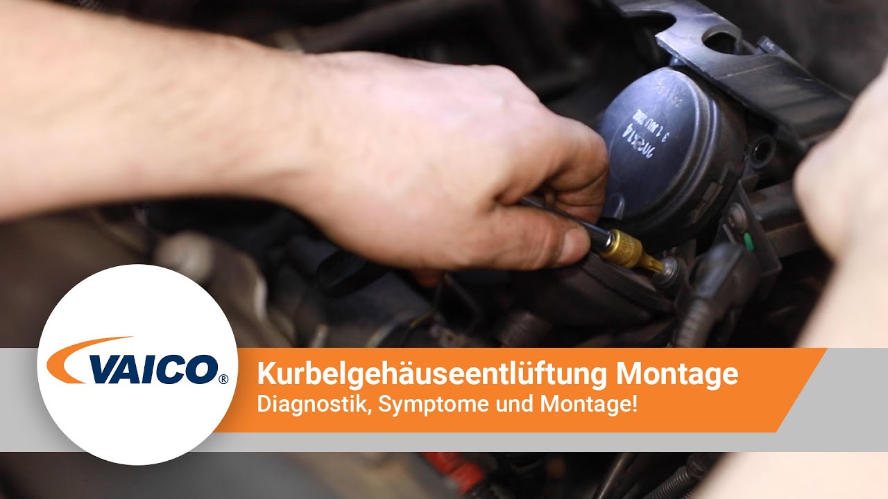 VAICO Kurbelgehäuseentlüftung 3er BMW E46 - [V20-2508]
