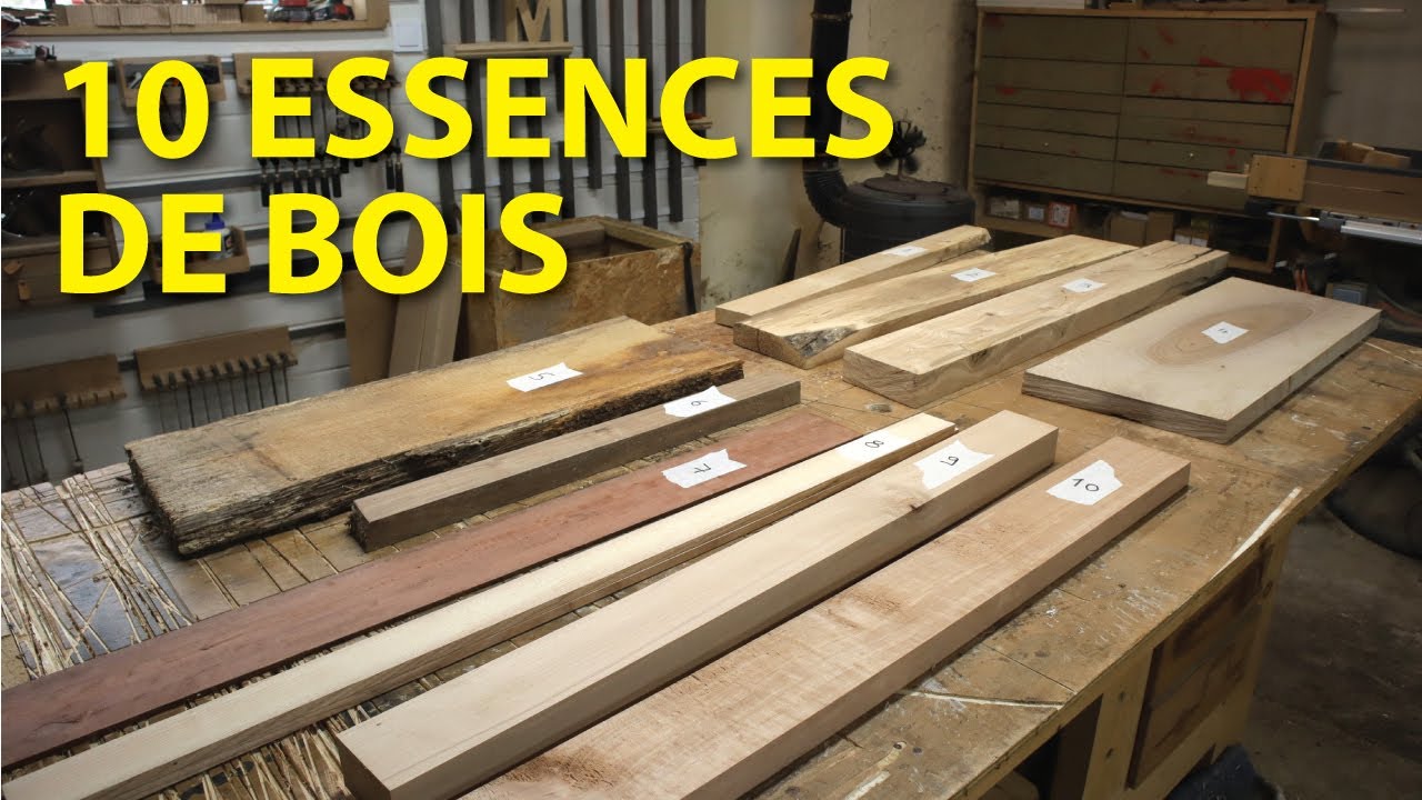 10 essences de bois