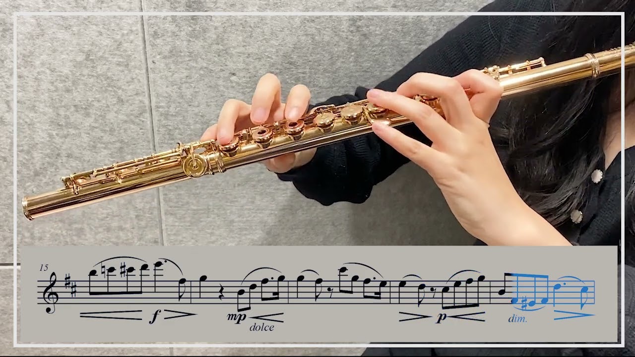 가리볼디 플루트 에튀드 Op. 131 8번 B Minor