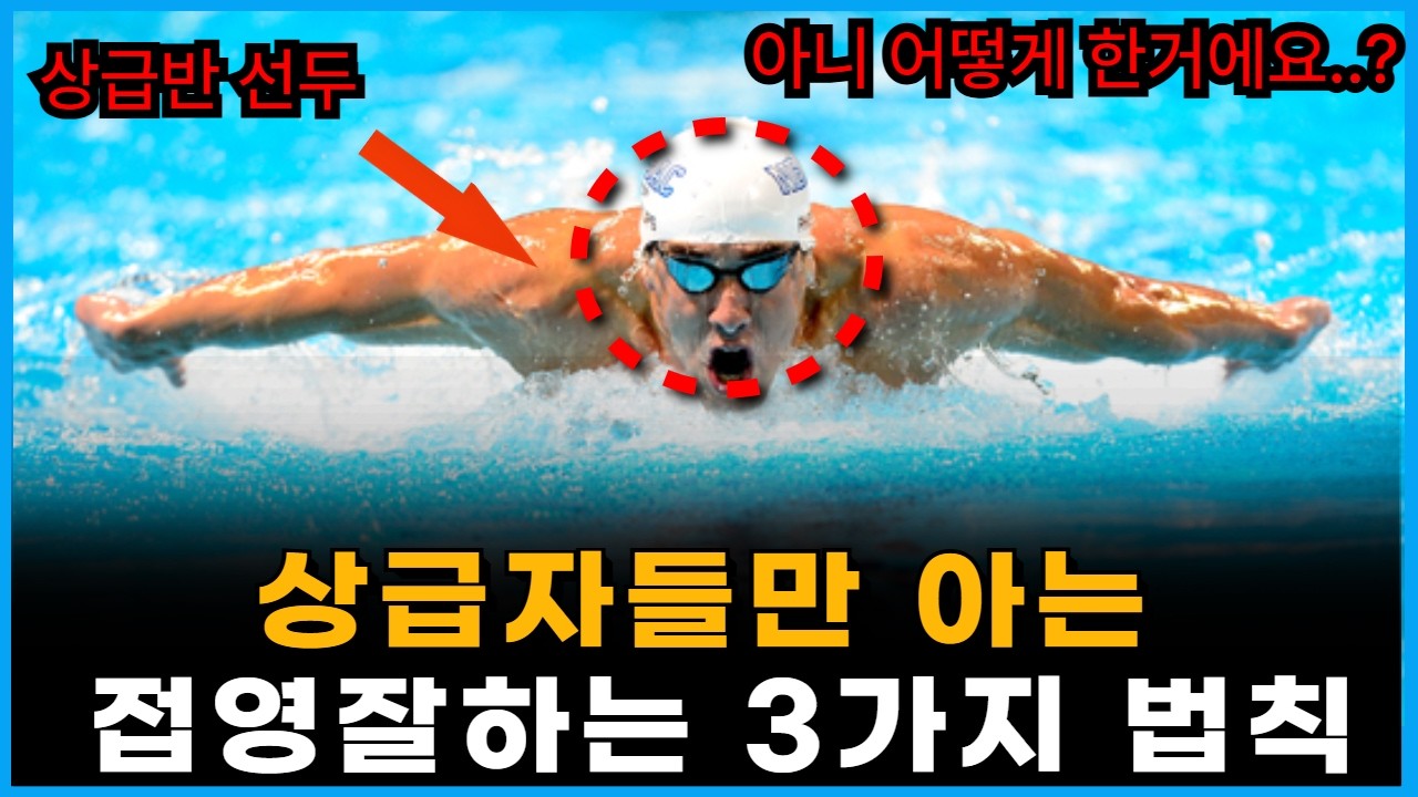 접영 실력 수식 상승하는 3가지 비밀