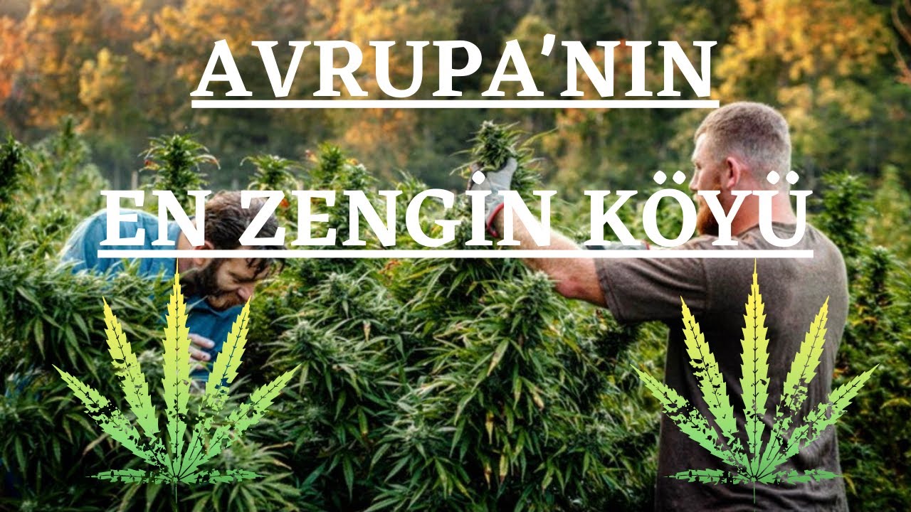 AVRUPANIN UYUŞTURUCU BAŞKENTİ - LAZARAT Köyü / Arnavutluk