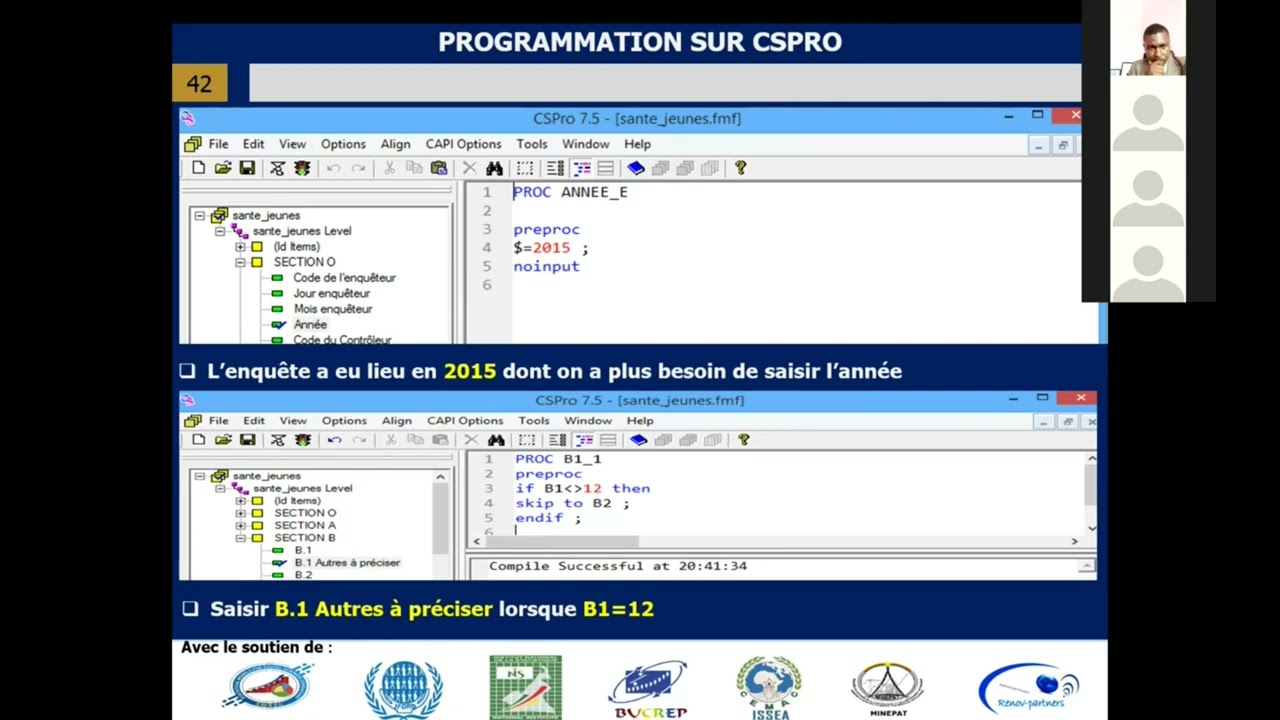 Contrôles dans un masque CSPRO