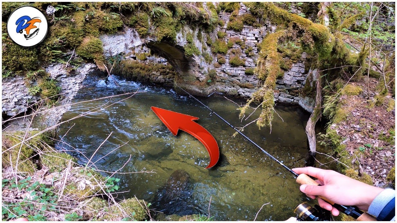 DECOUVERTE D'ANCIENNES RUINES ABRITANTS DES TRUITES SAUVAGES !