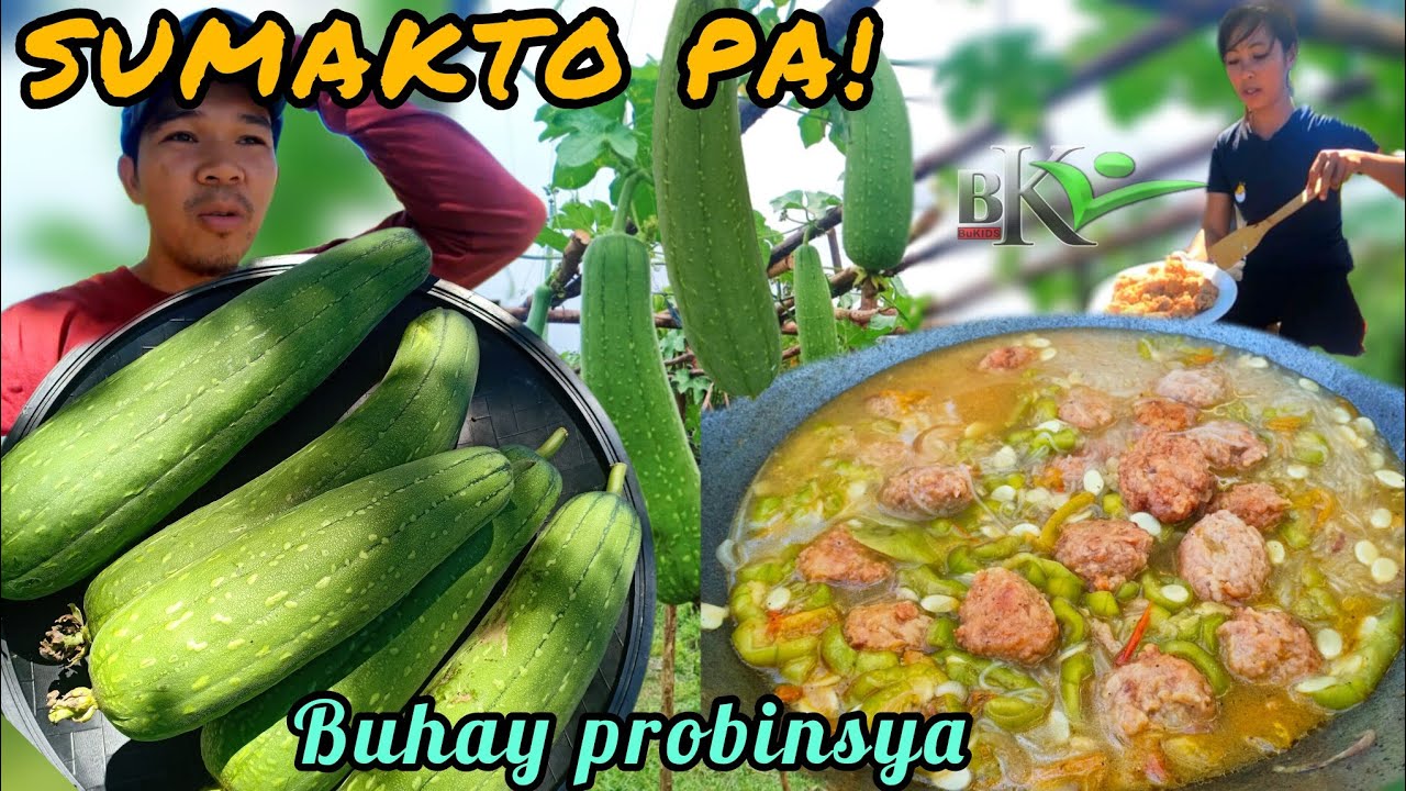 Ep.402- SUMAKTO PA SA BUTAS! | NAGLUTO KAMI NG PATOLA WITH MEATBALLS | BUHAY PROBINSYA | bukids