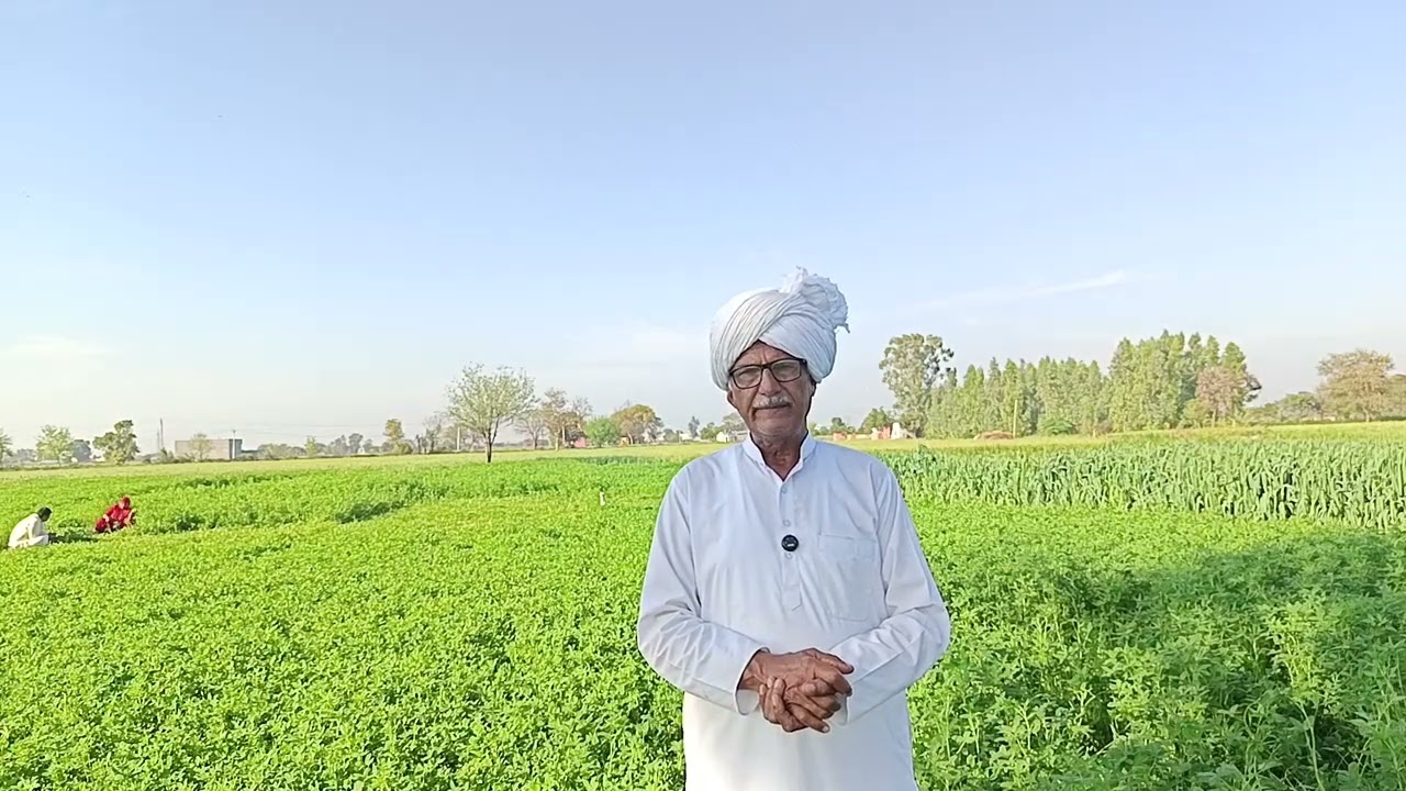 फँस गया बिचौला शादी के चार दिन बाद दुल्हन भाग गई घर के गहनें और रुपये लेकर पुराने प्रेमी के साथ ढूँढ