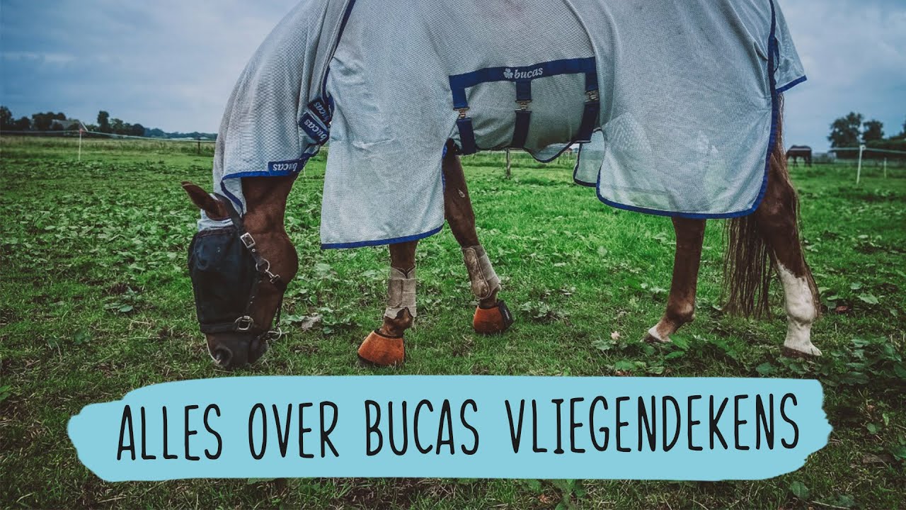 Alles over BUCAS VLIEGENDEKENS | #76 | HorseFitShop