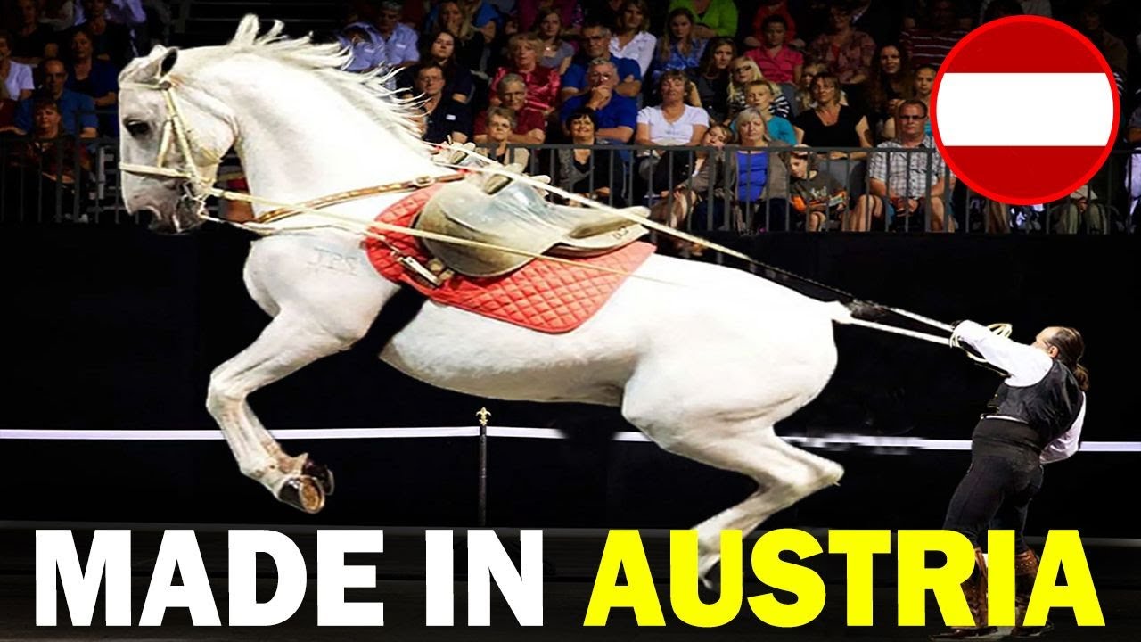 6 RARE Austrian Origin Horse Breeds You Don't Know About!!