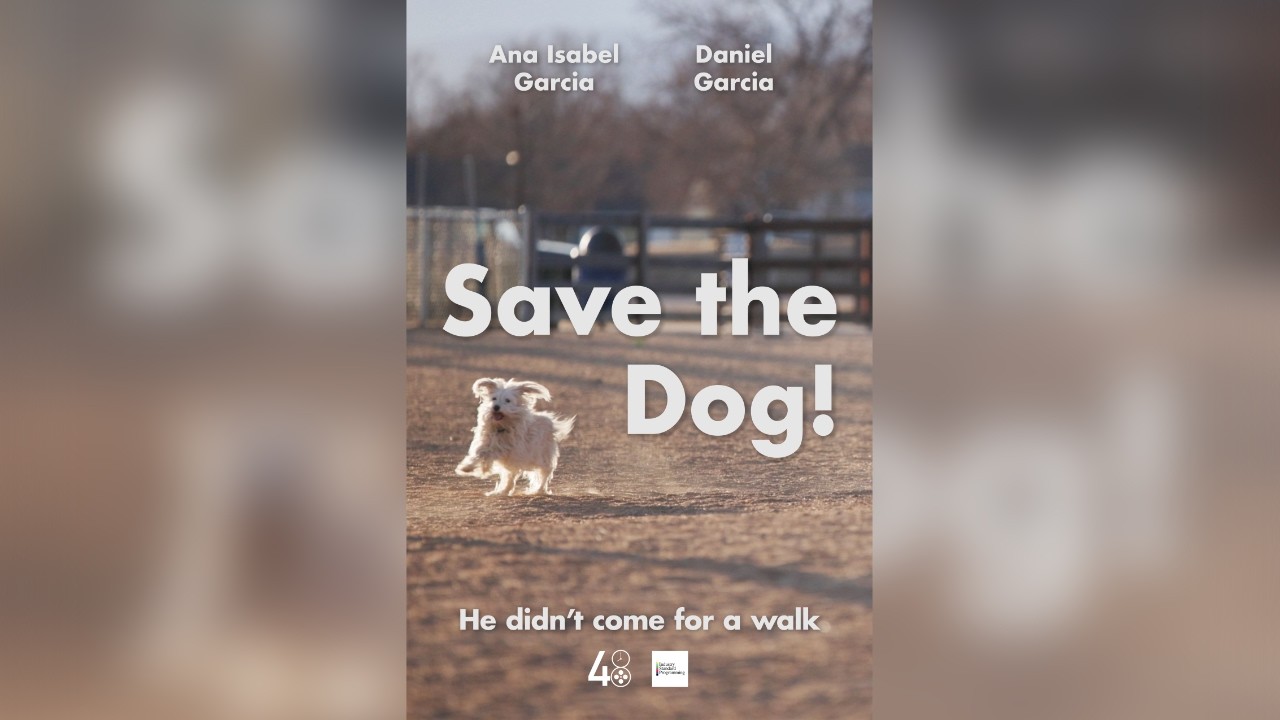 Save the Dog! | College 48