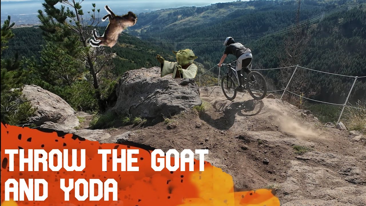 Throw the Goat / Yoda @christchurchPrk