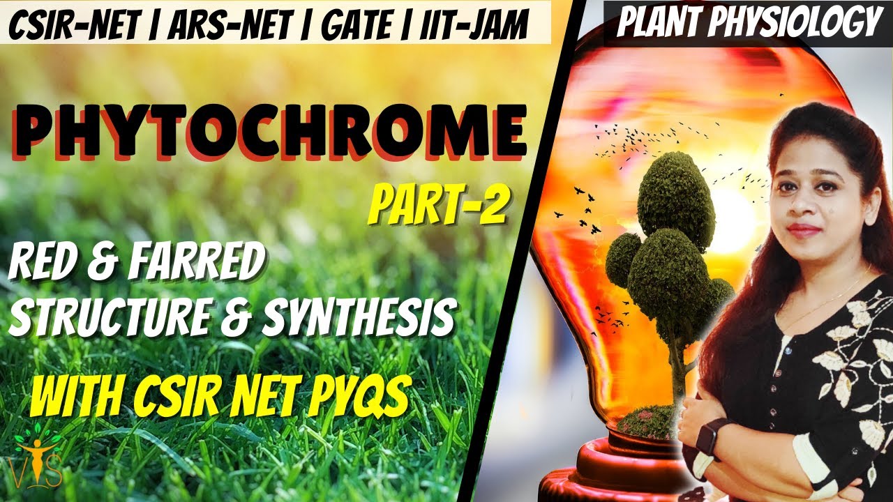 Phytochrome CSIR NET -2 | Sensory Photobiology CSIR NET  | Plant physiology CSIR NET PYQ