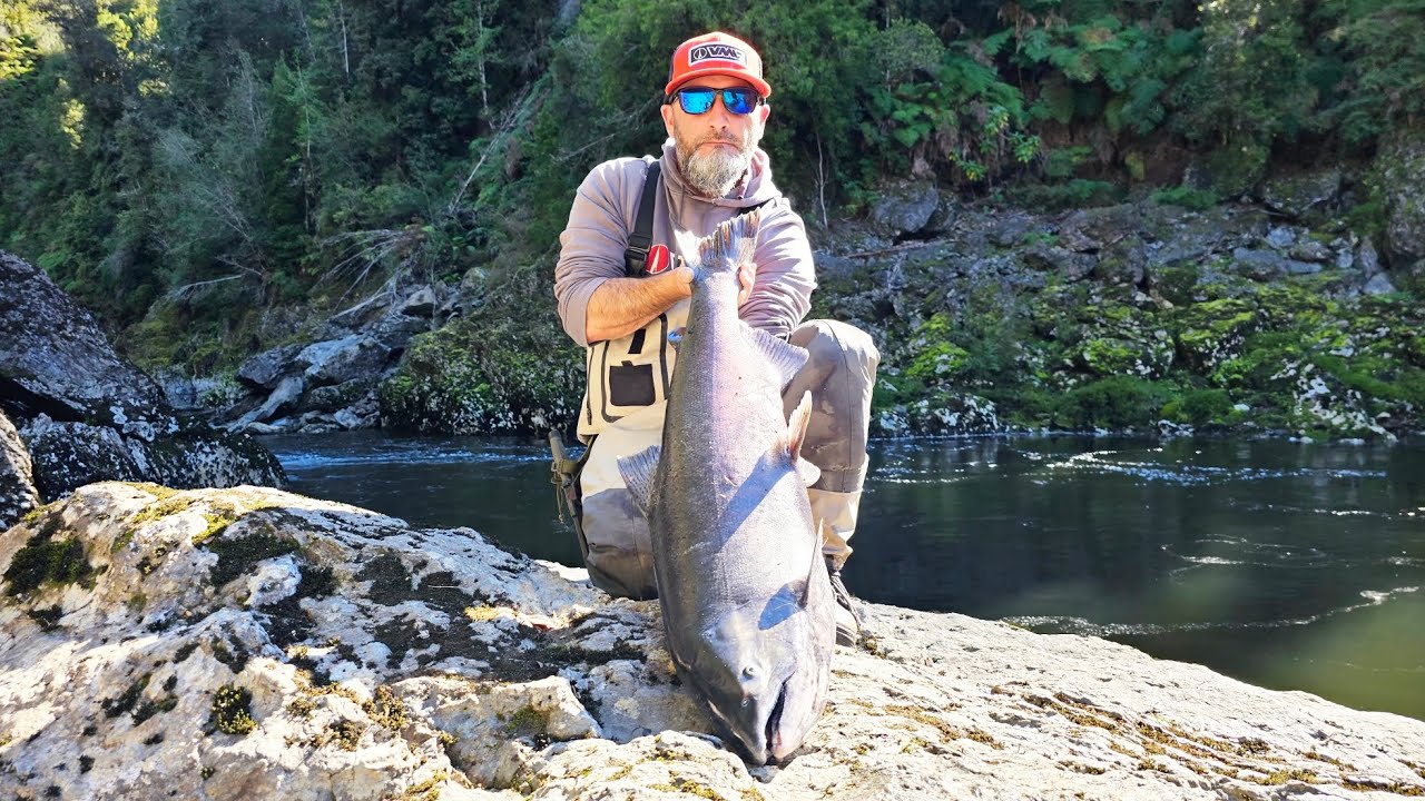 pesca del gran salmón chinook captura doble con un compañero de lineas chiloe chile 2024
