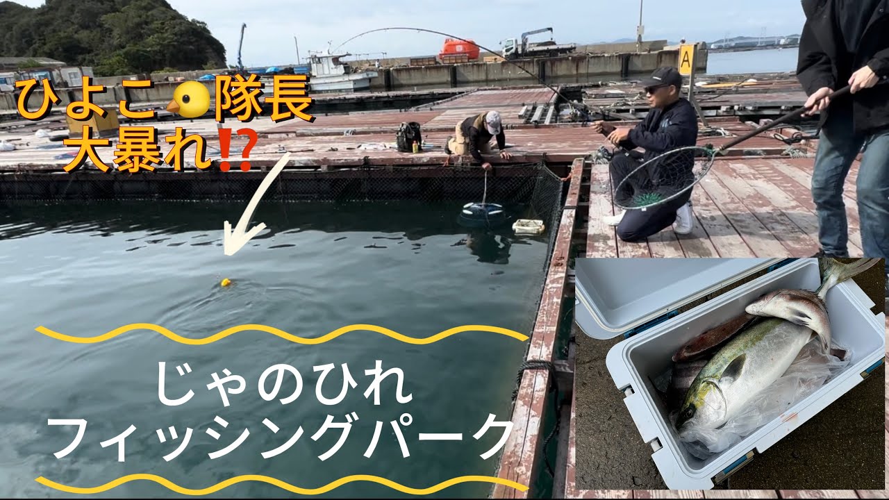 南淡路【じゃのひれフィッシングパーク】初心者でも鯛が釣れる‼︎