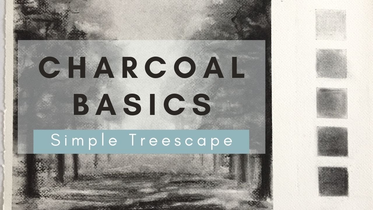 Charcoal Basics | Drawing for beginners | Step by step drawing | How to draw a simple treescape