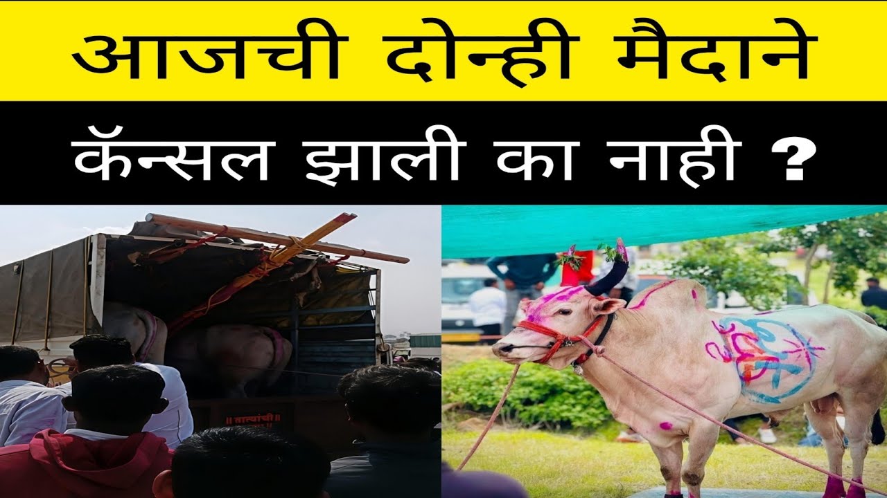 आज सासवड आणि सिद्धेश्वर कुरोली येथील दोन्ही मैदाने लाईव्ह का दिसत नाहीत ? मैदान चालू आहेत का नाही ?