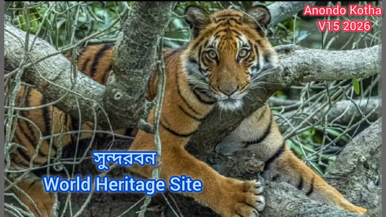 ১৪ই ফেব্রুয়ারি শুধু কি ভালবাসা দিবস? #viral #১৪ফেব্রুয়ারি #blackday #medicalcollege #youtube 