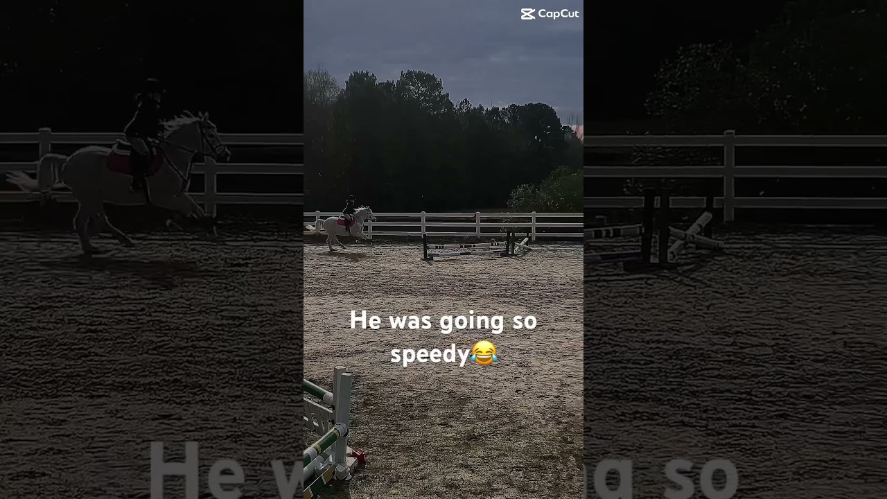 Speed #equestrianlife #christianrider