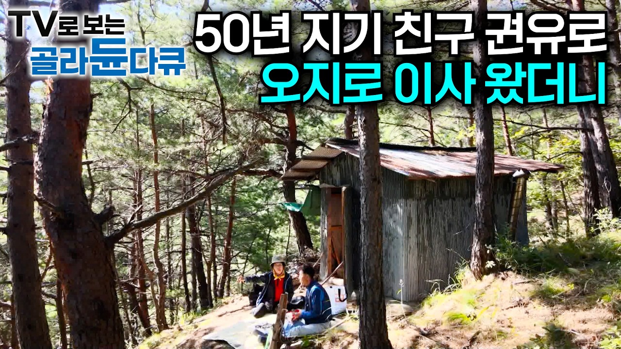 자식들도 못 말린다. 통통배만 탔다 하면 물고기 몇천 마리 쓸어오는 노부부｜50년 지기 친구의 권유로 산세에 반해 연고도 없는 오지로 왔다｜강원도의 가을 밥상｜한국기행｜#골라듄다큐