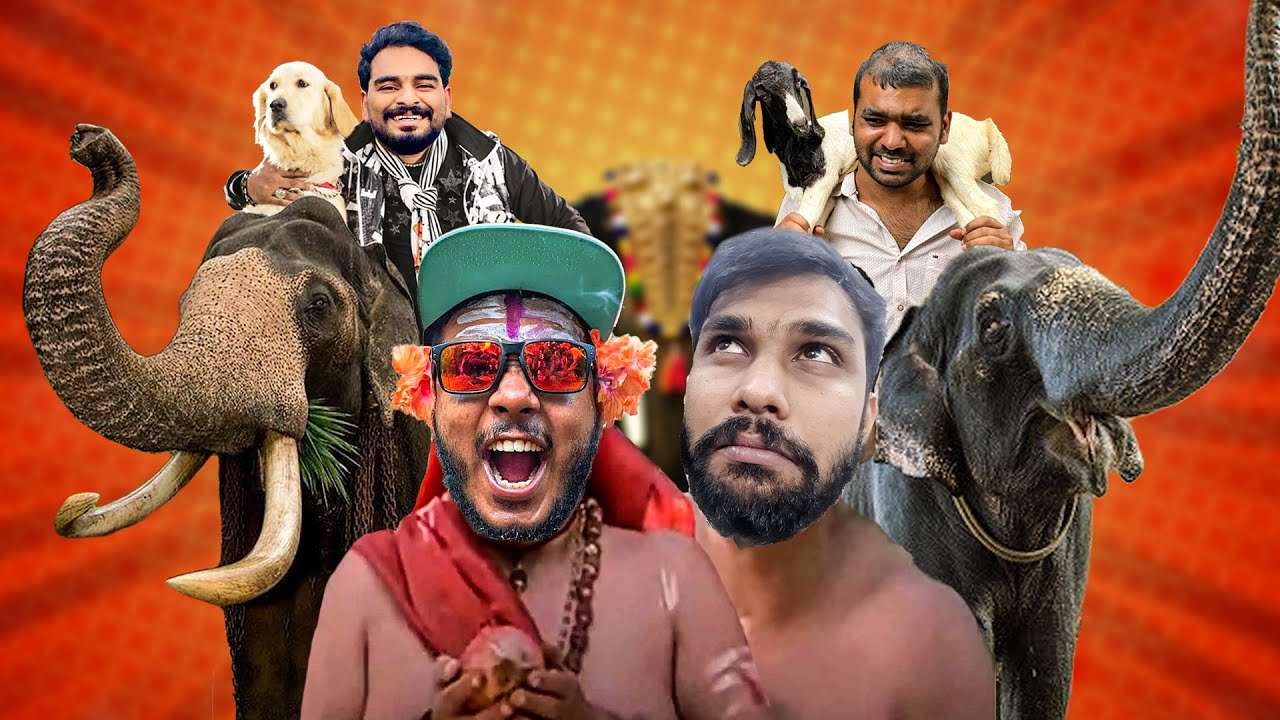 കൂടോത്രം വഴി ആനയിൽ നിന്ന് പട്ടിയിലേക്ക് 🤯