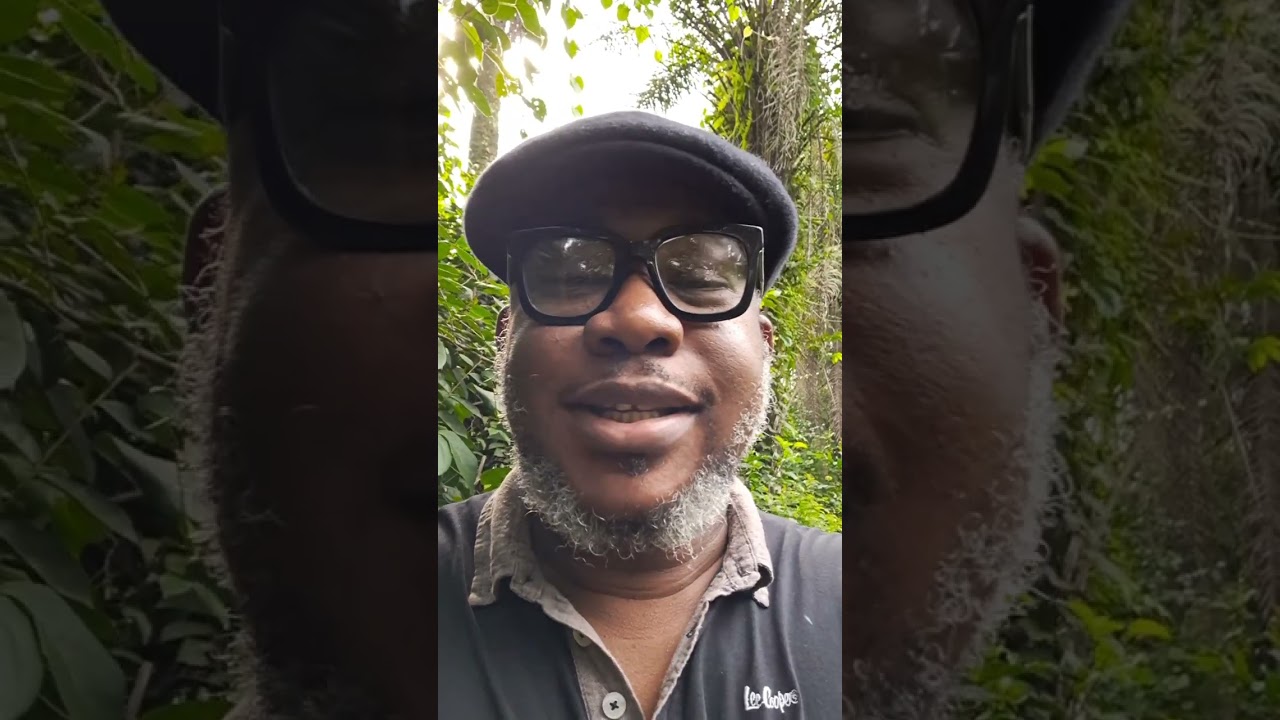 Nigerian Beekeeping: DIY Bucket Swarm Trap: Step-by-Step Setup Guide