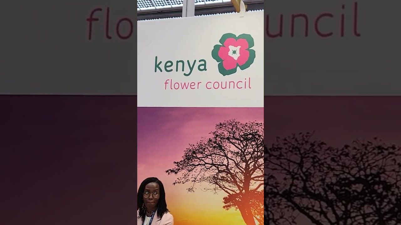 Proudly Kenyan Roses - The Best in the World