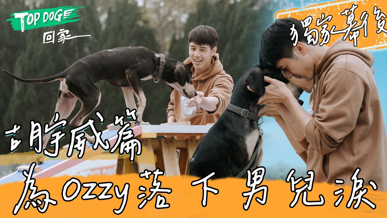TOPDOG 獨家幕後｜胡宇威為愛犬落下男兒淚😭 Ozzy讀懂手寫信 眼神充滿愛💗 心軟讓牠上床一起睡覺 太幸福惹@topdoghome