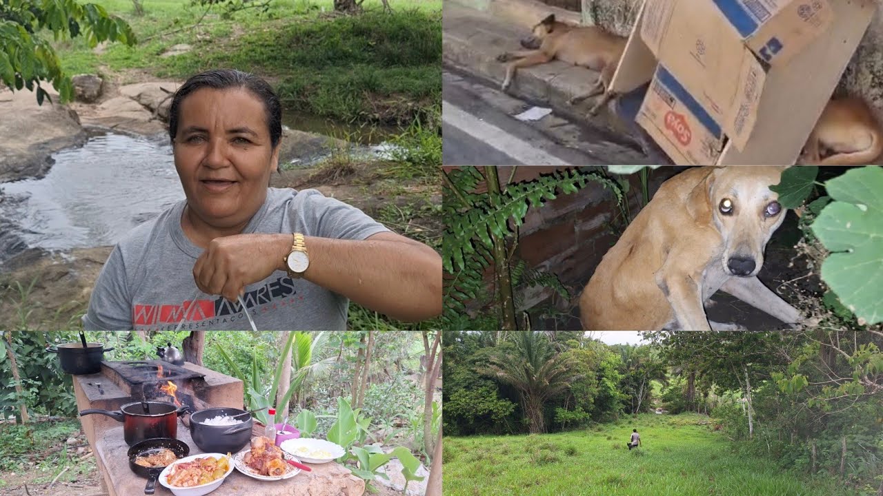 Achamos dois cachorros abandonados na rua + pescando piaba no rio pra solta no açude. 