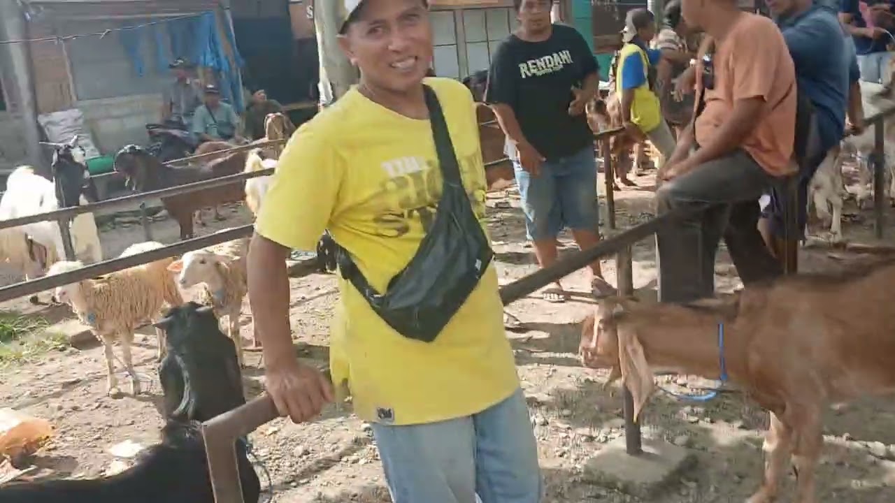 Pasar kliwon sumbergempol tulung agung (19 03 2026) hari ini naik melonjak#