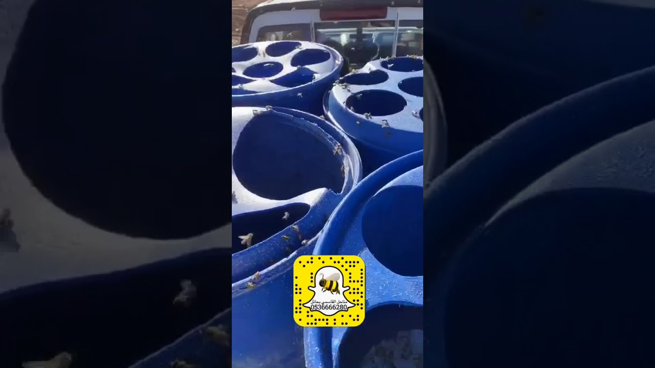 شاهد غش العسل بالسكر عينك عينك وجبنا لهم الشرطة والزراعة👌🏻👍🏻