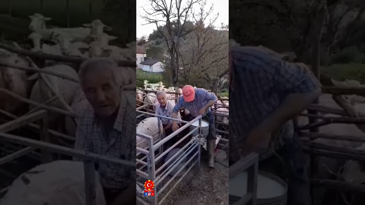 KOCACIK köyünden Sezair amca..