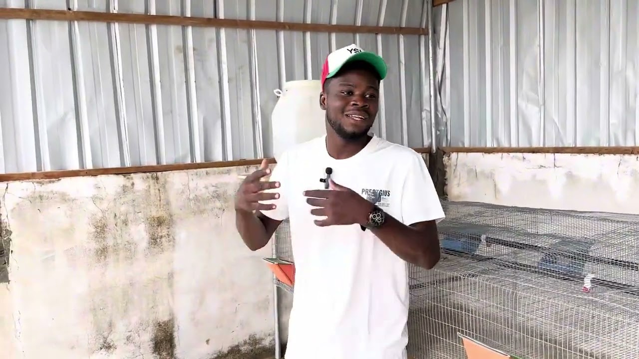 Fin des travaux de la ferme de lapin au TOGO🇹🇬: la cuniculture un secteur d’avenir.