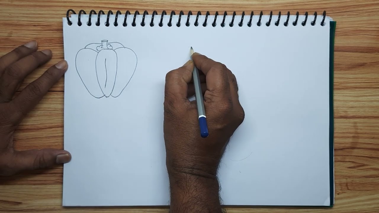  capsicum drawing easy || capsicum drawing with colour || capsicum drawing for kids || easy capsicum
