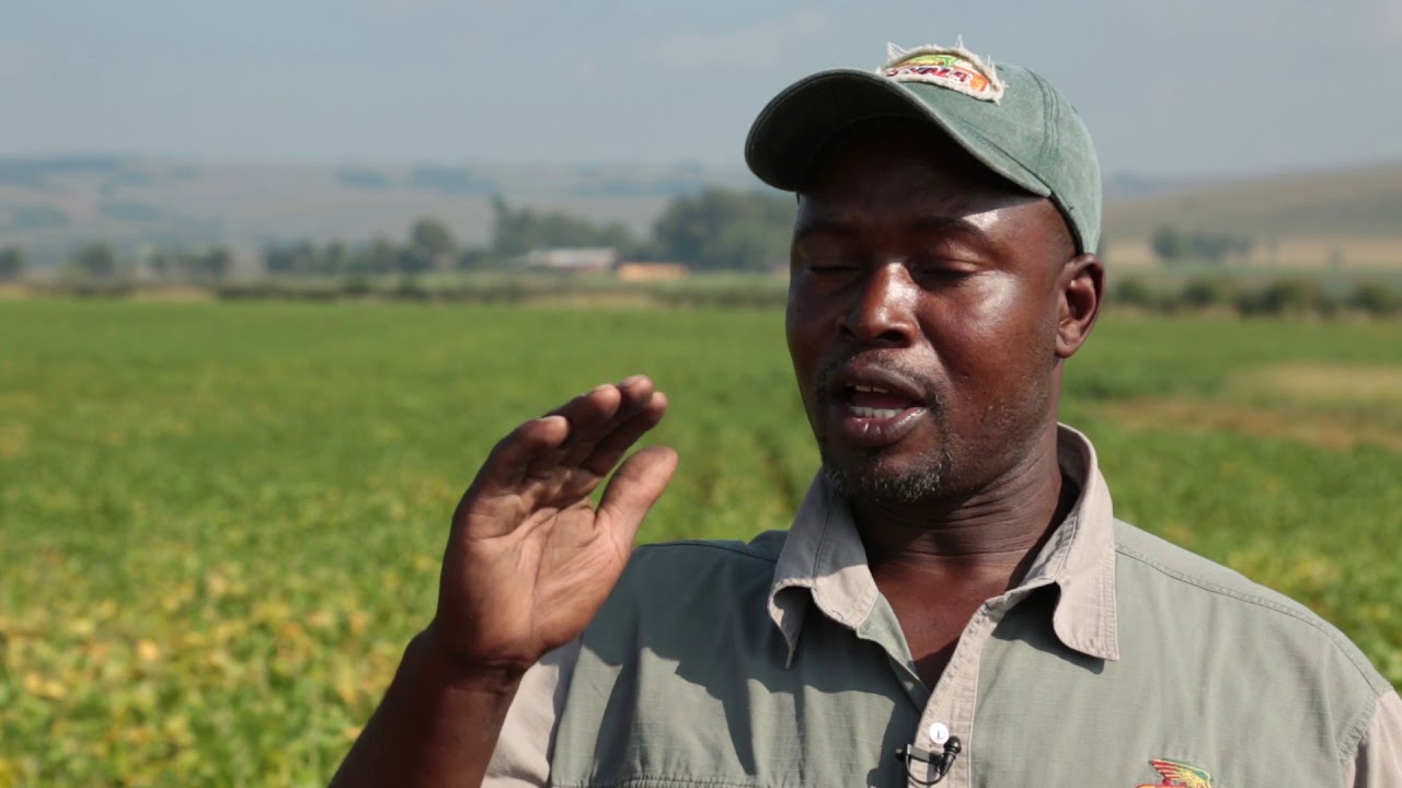 South African farmer Solomon Mahalngu