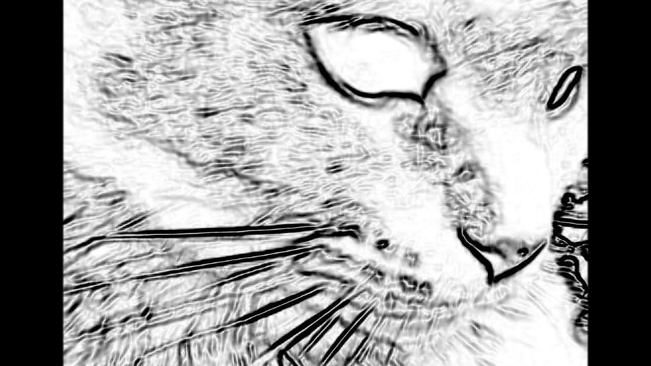The Black Cat by Edgar Allan Poe