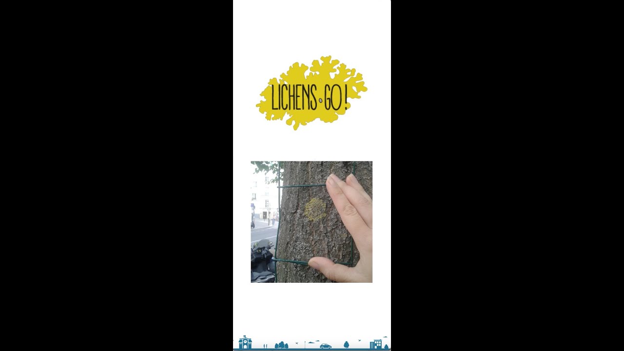 iNaturalist Tutoriel
