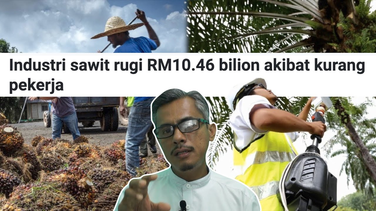 Industri Sawit Rugi RM10B Sebab Kurang Pekerja