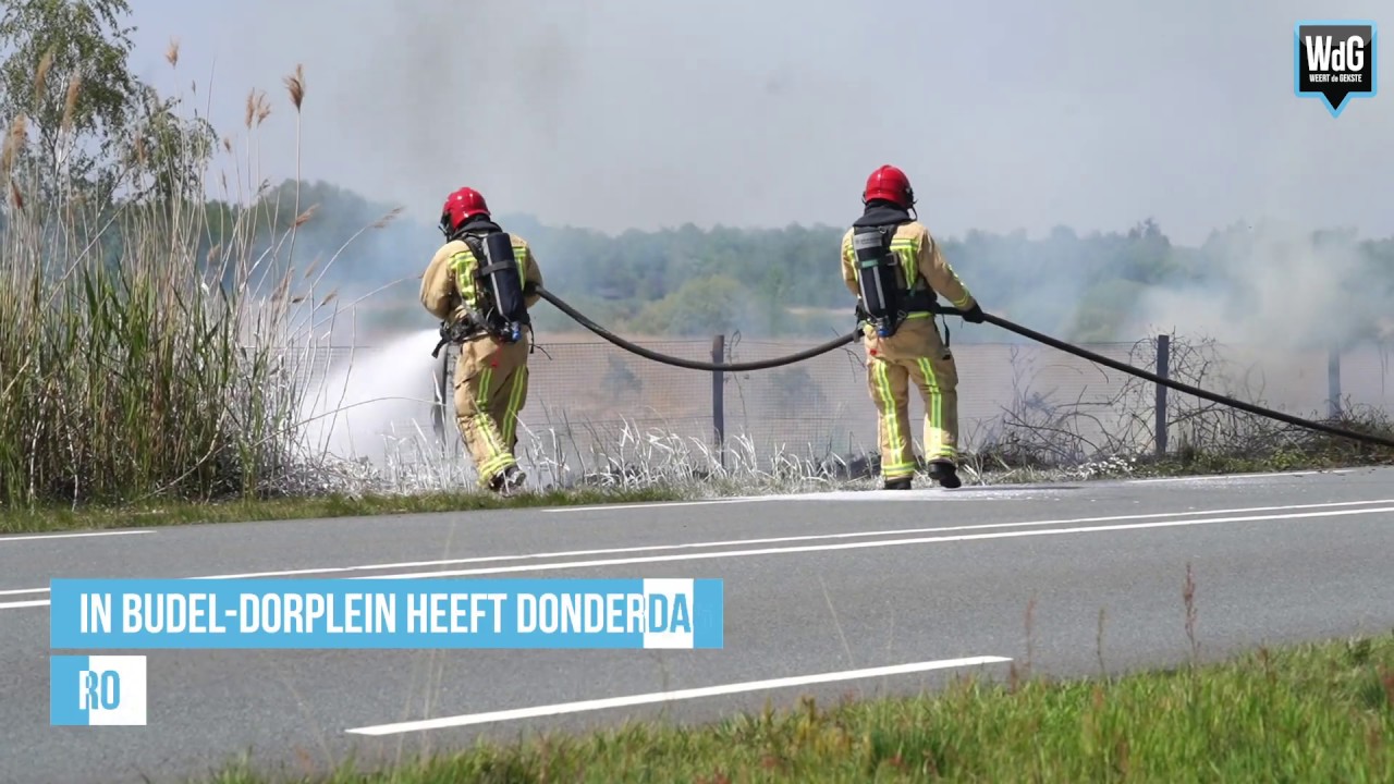 Bermbrand in Budel-Dorplein